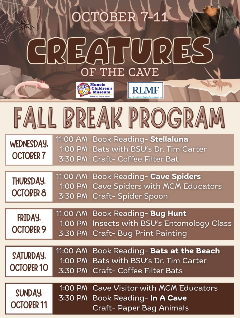 Fall Break Program: Creatures of the Cave @ Muncie Children's Museum